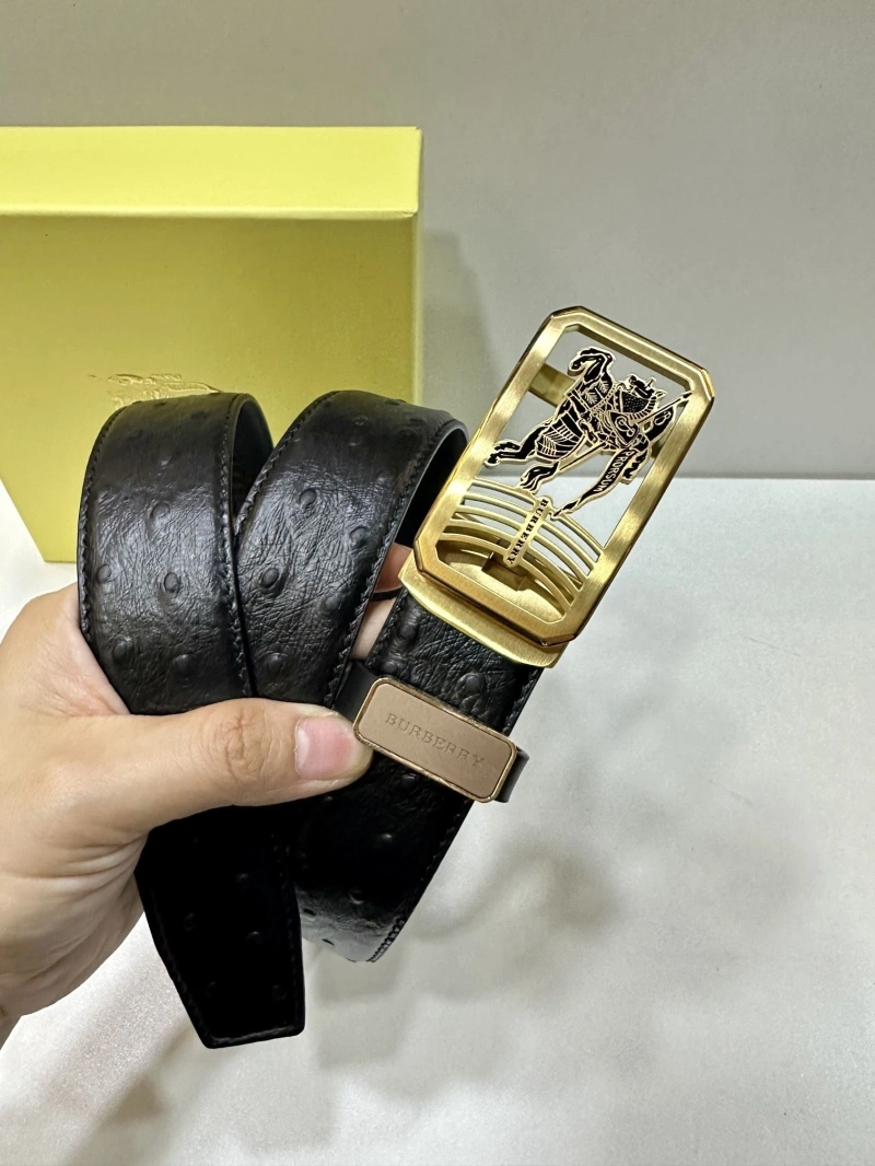 Bxrbxrry Belts Soft 240707