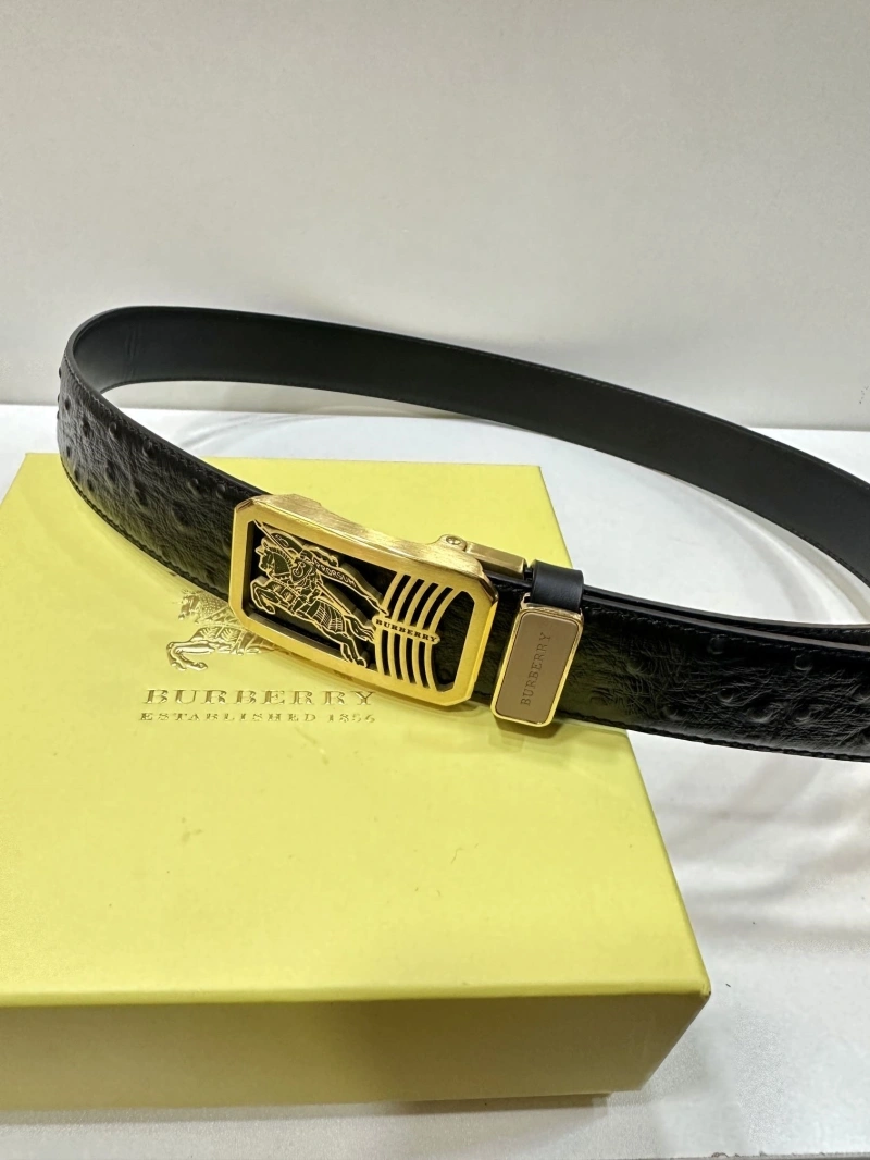 Bxrbxrry Belts Soft 240707