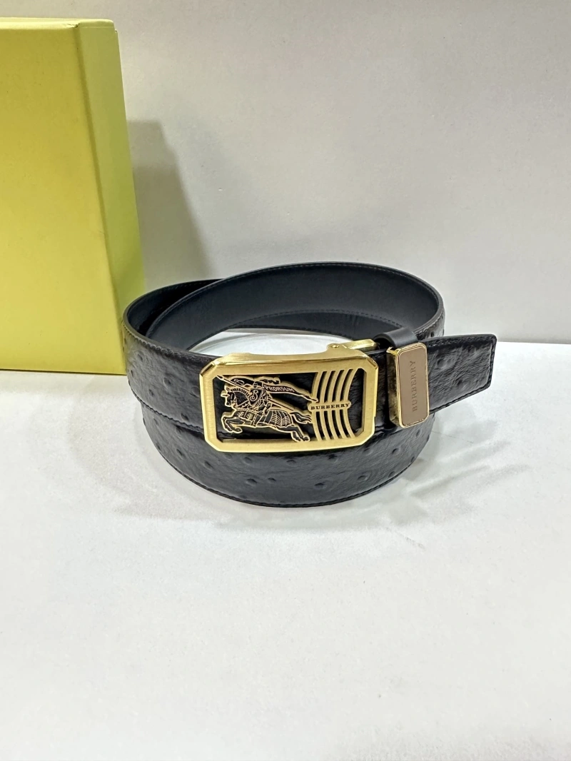 Bxrbxrry Belts Soft 240707