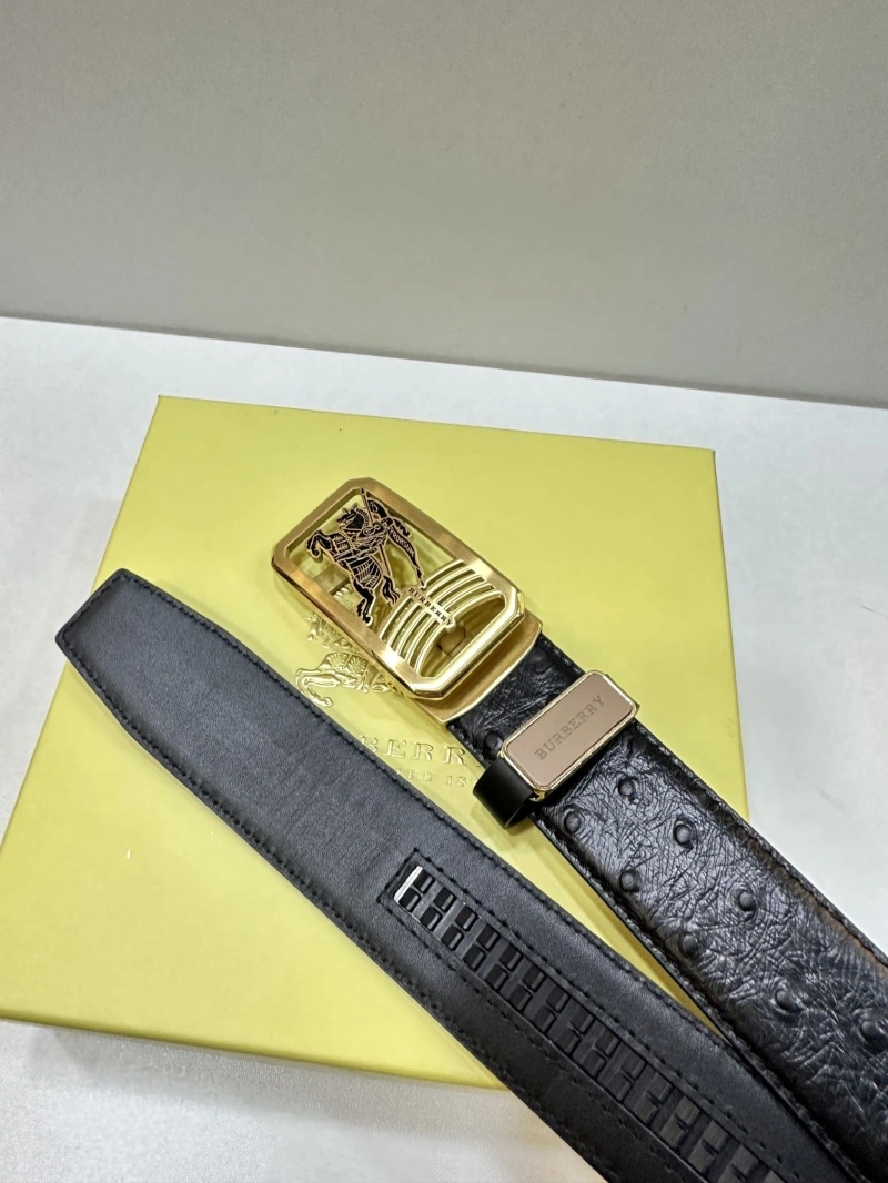 Bxrbxrry Belts Soft 240707