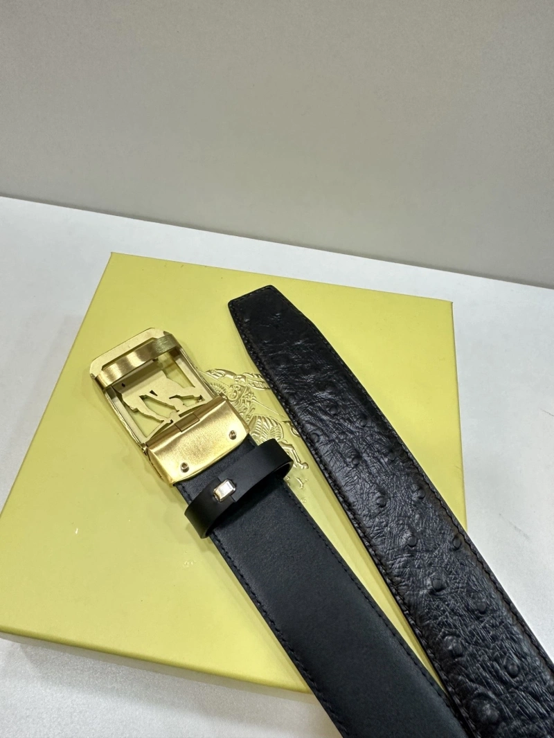 Bxrbxrry Belts Soft 240707