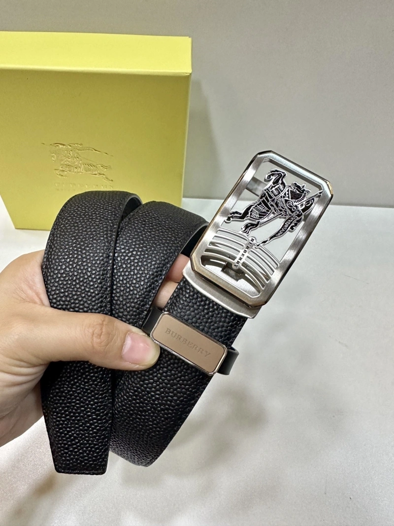 NewStyle Bxrbxrry Belts 240705