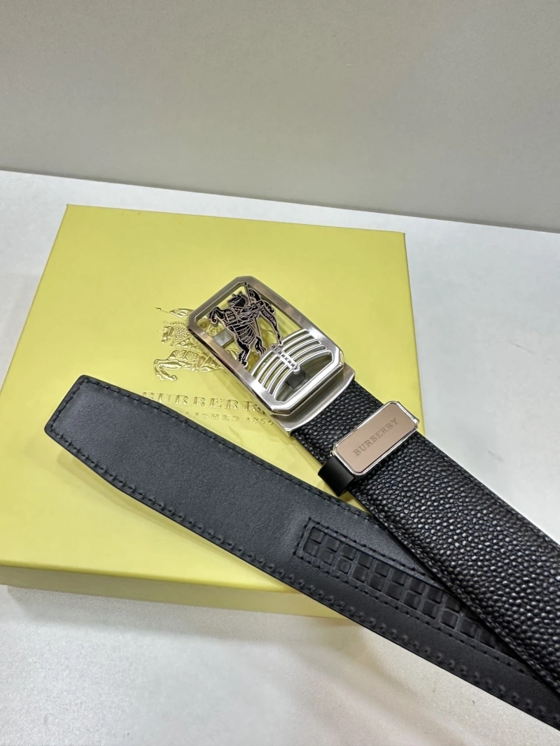 NewStyle Bxrbxrry Belts 240705