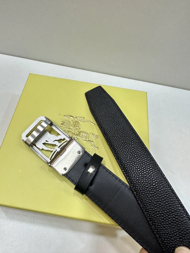 NewStyle Bxrbxrry Belts 240705