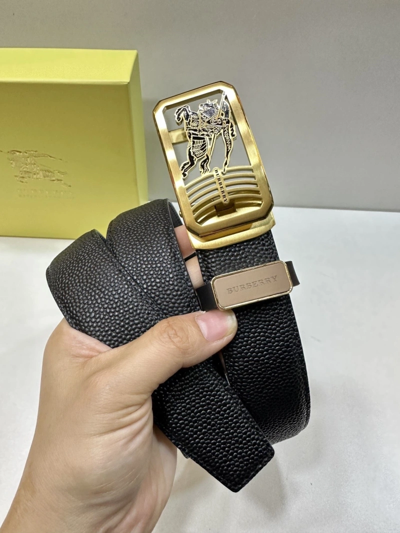 ModernLook Bxrbxrry Belts 240703