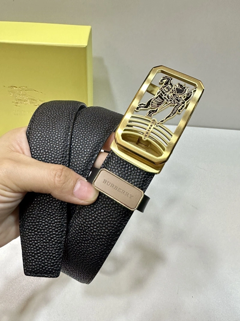 ModernLook Bxrbxrry Belts 240703