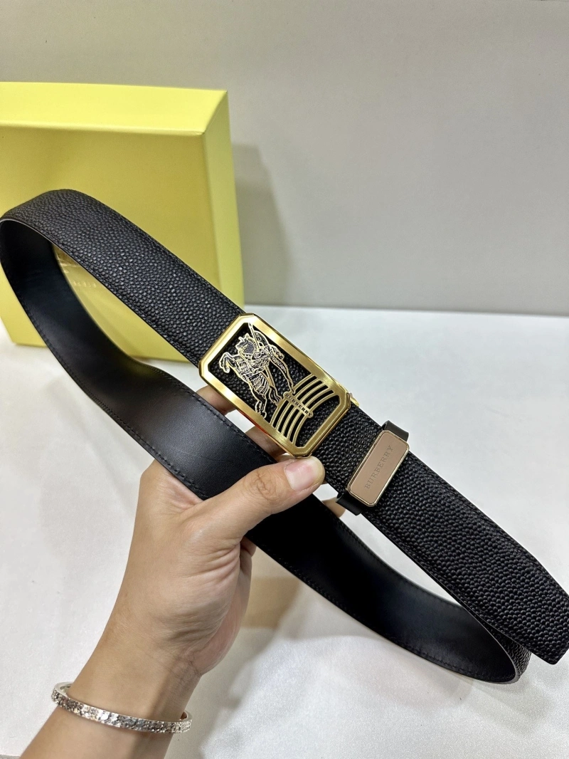 ModernLook Bxrbxrry Belts 240703