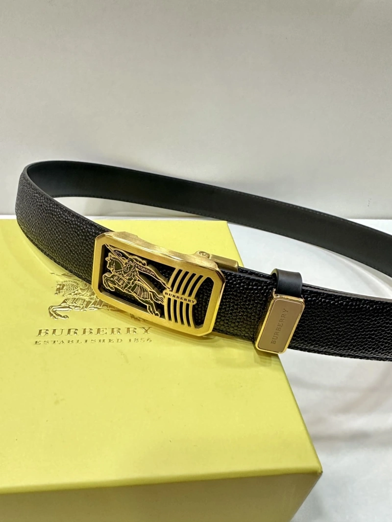 ModernLook Bxrbxrry Belts 240703
