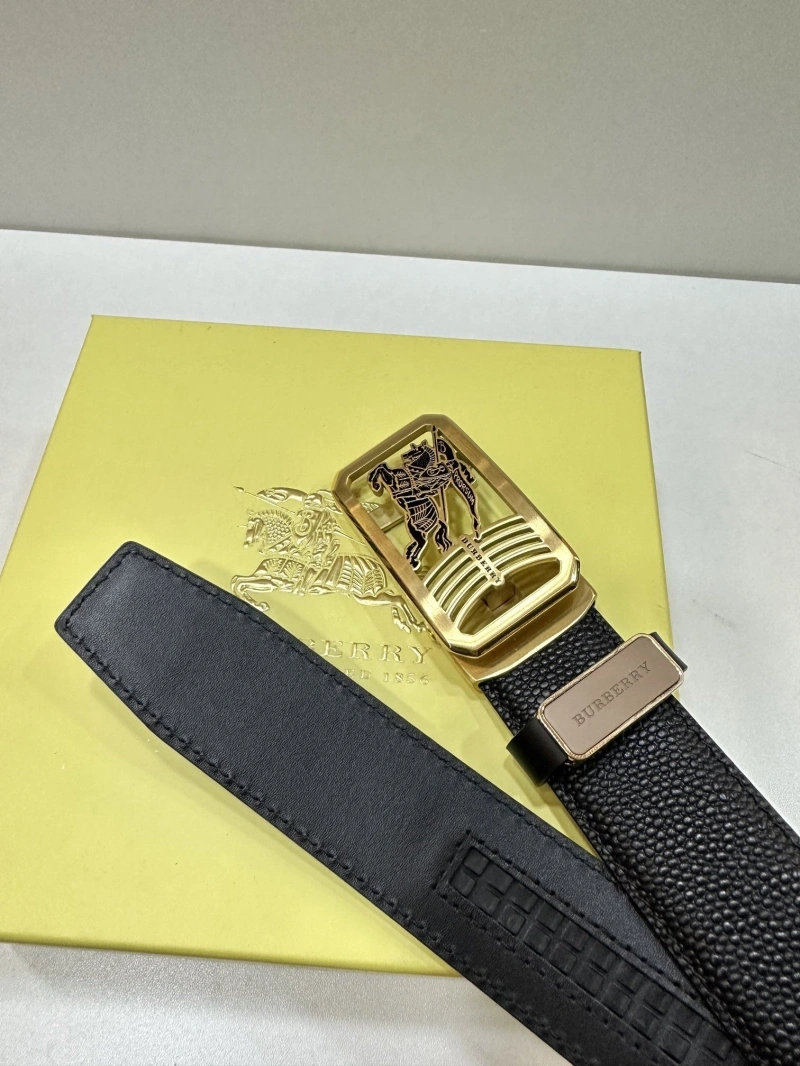 ModernLook Bxrbxrry Belts 240703