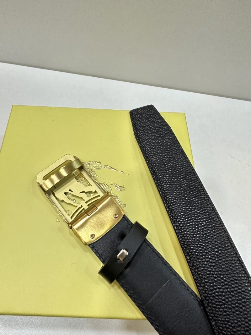 ModernLook Bxrbxrry Belts 240703