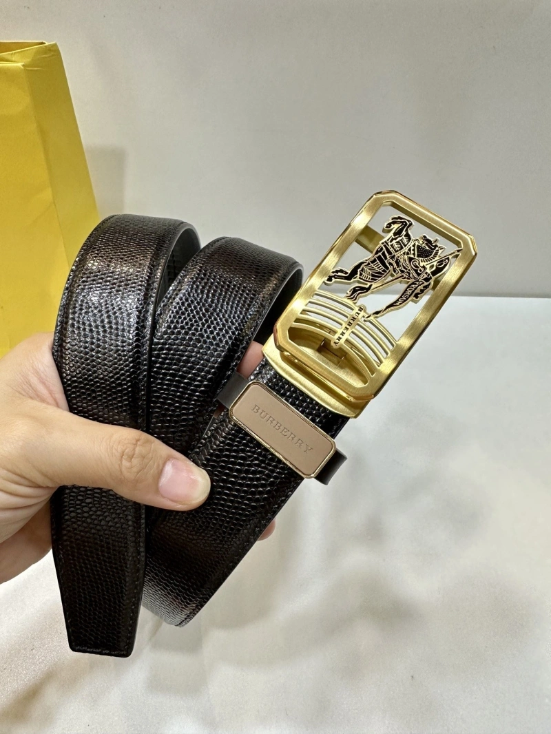 Compact Bxrbxrry Belts 240702