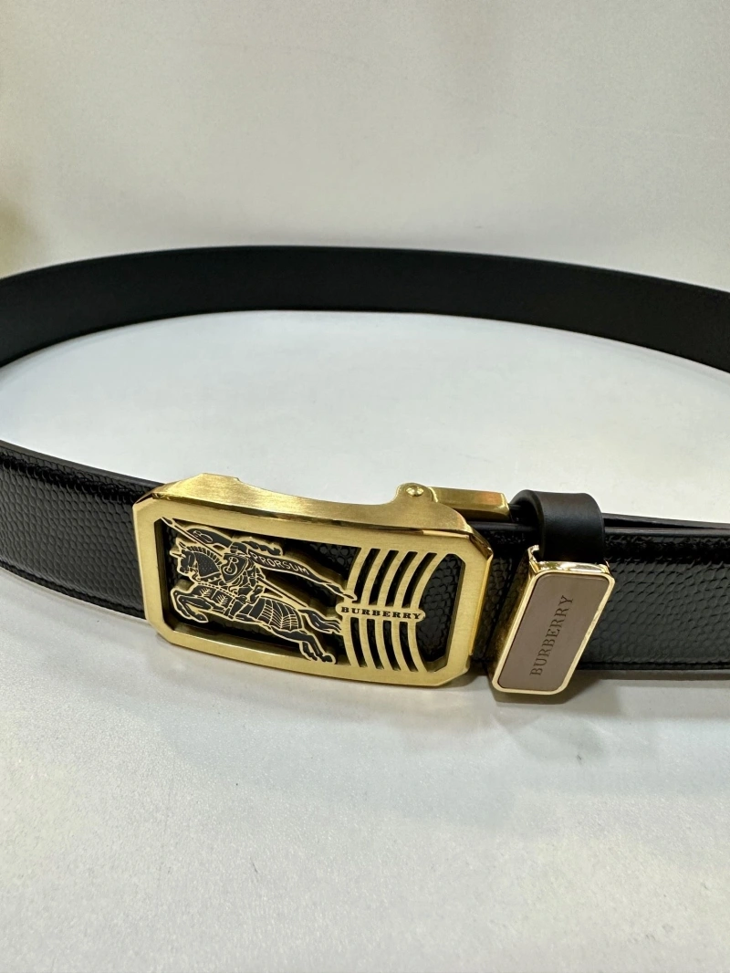 Compact Bxrbxrry Belts 240702