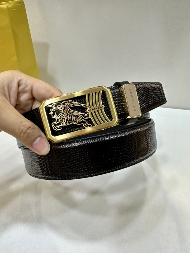 Compact Bxrbxrry Belts 240702