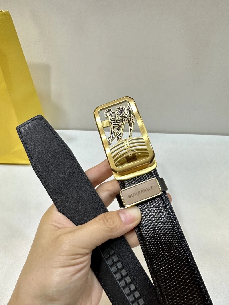 Compact Bxrbxrry Belts 240702