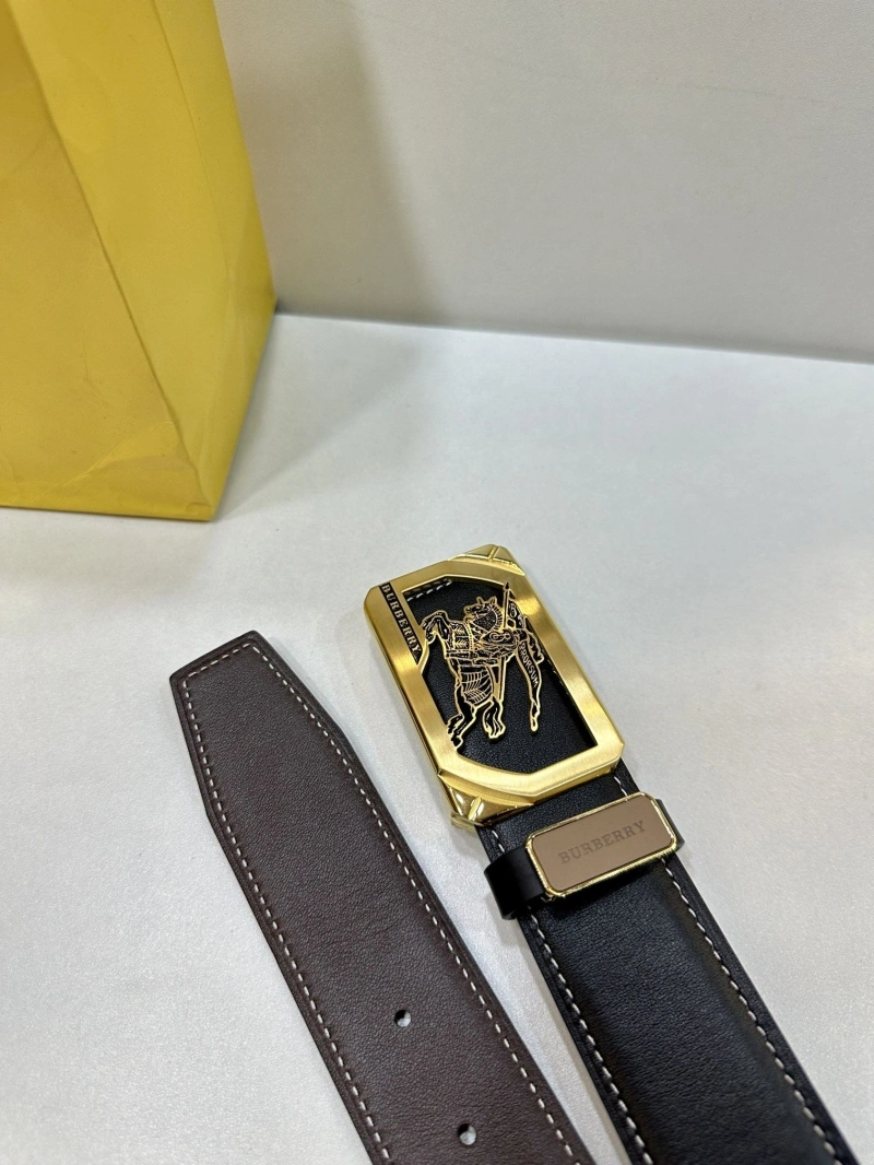 Bxrbxrry Belts Bright 240683