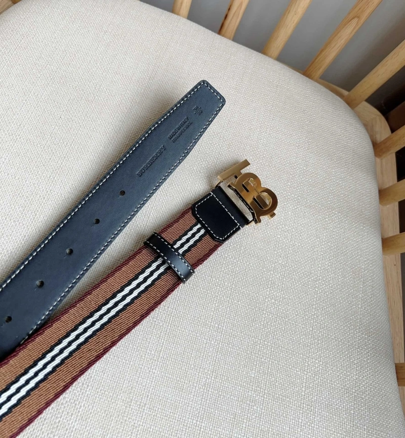 Bxrbxrry Belts EyeCatching 240690