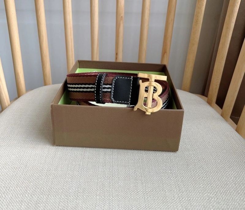 Bxrbxrry Belts EyeCatching 240690