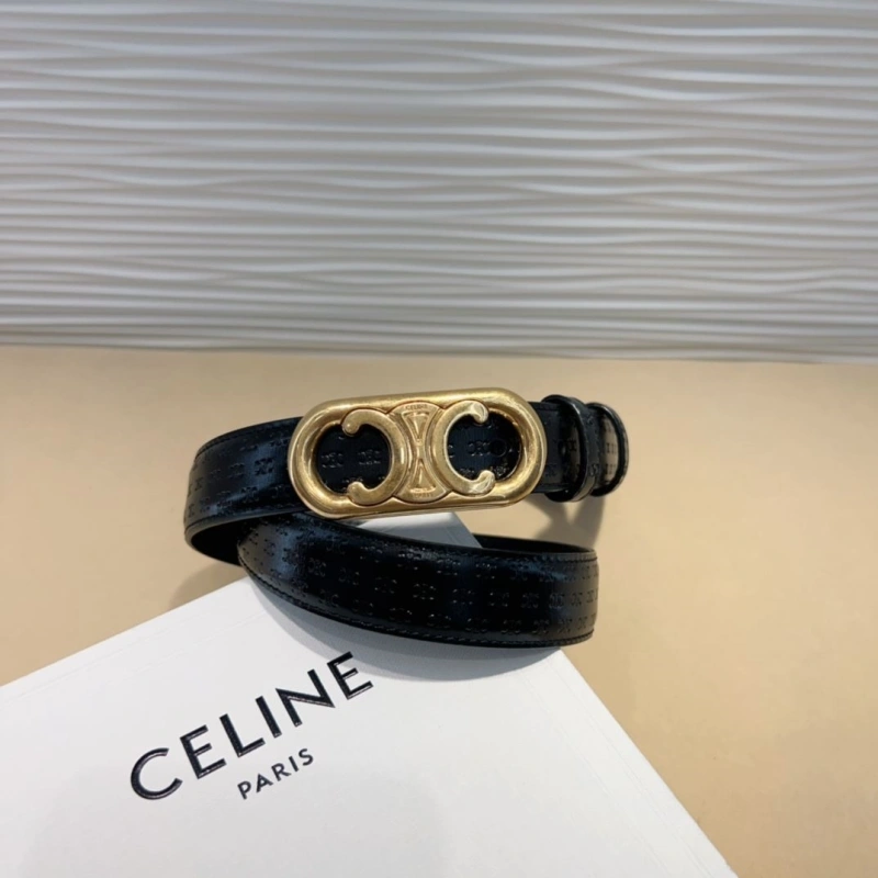Vibrant CXLXNE Belts 241145
