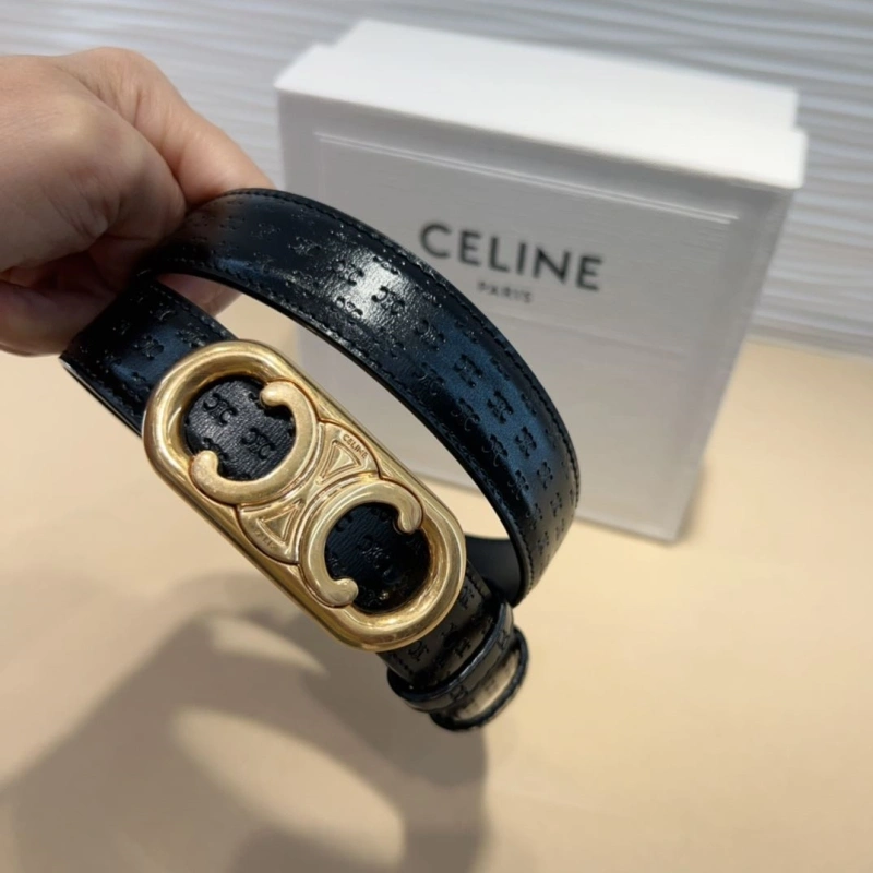 Vibrant CXLXNE Belts 241145