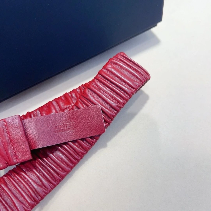 Chxnxl Belts GoodFit 241348