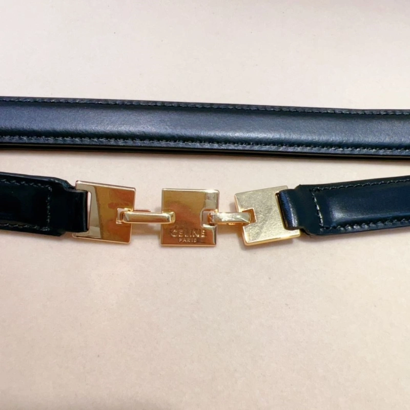 DailyWear CXLXNE Belts 241139