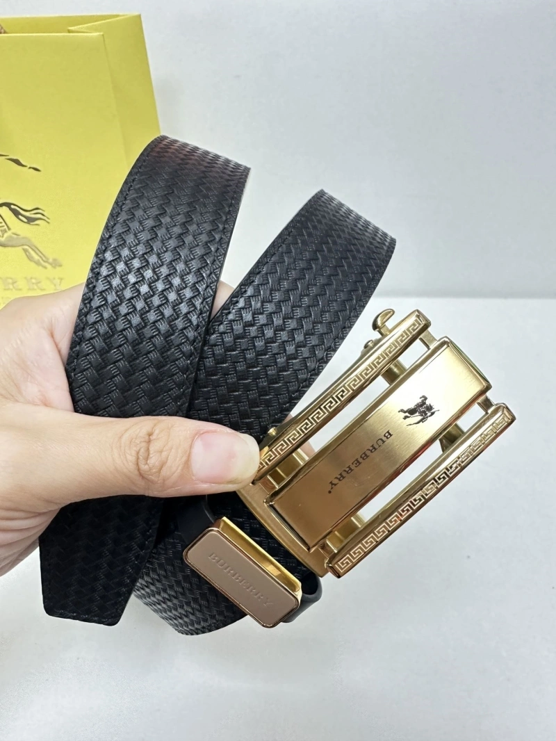 Bxrbxrry Belts Classic 240676