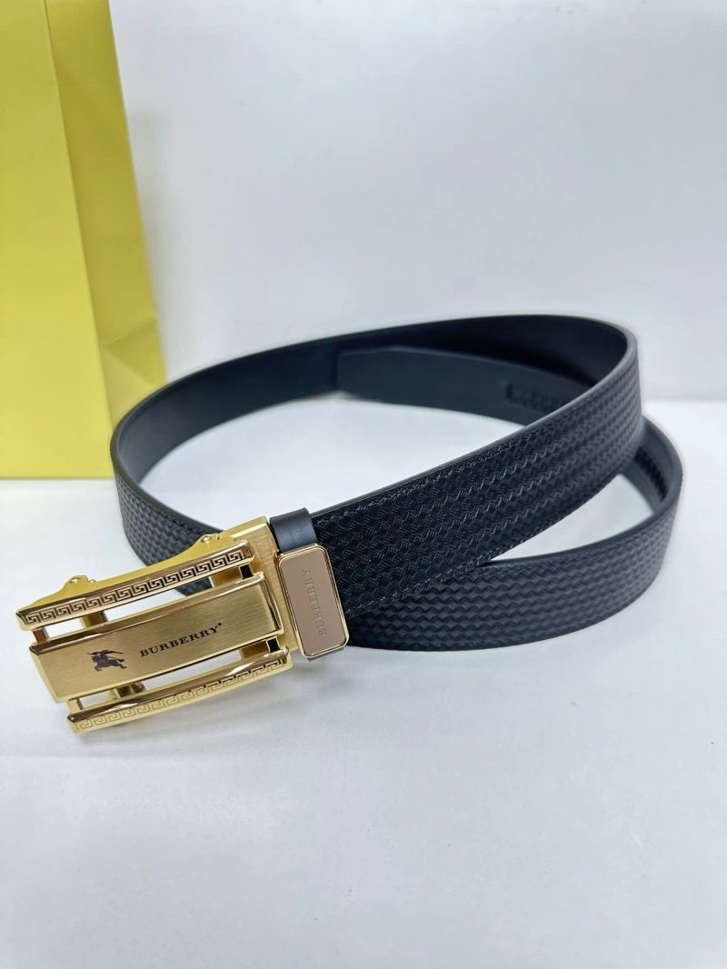 Bxrbxrry Belts Classic 240676