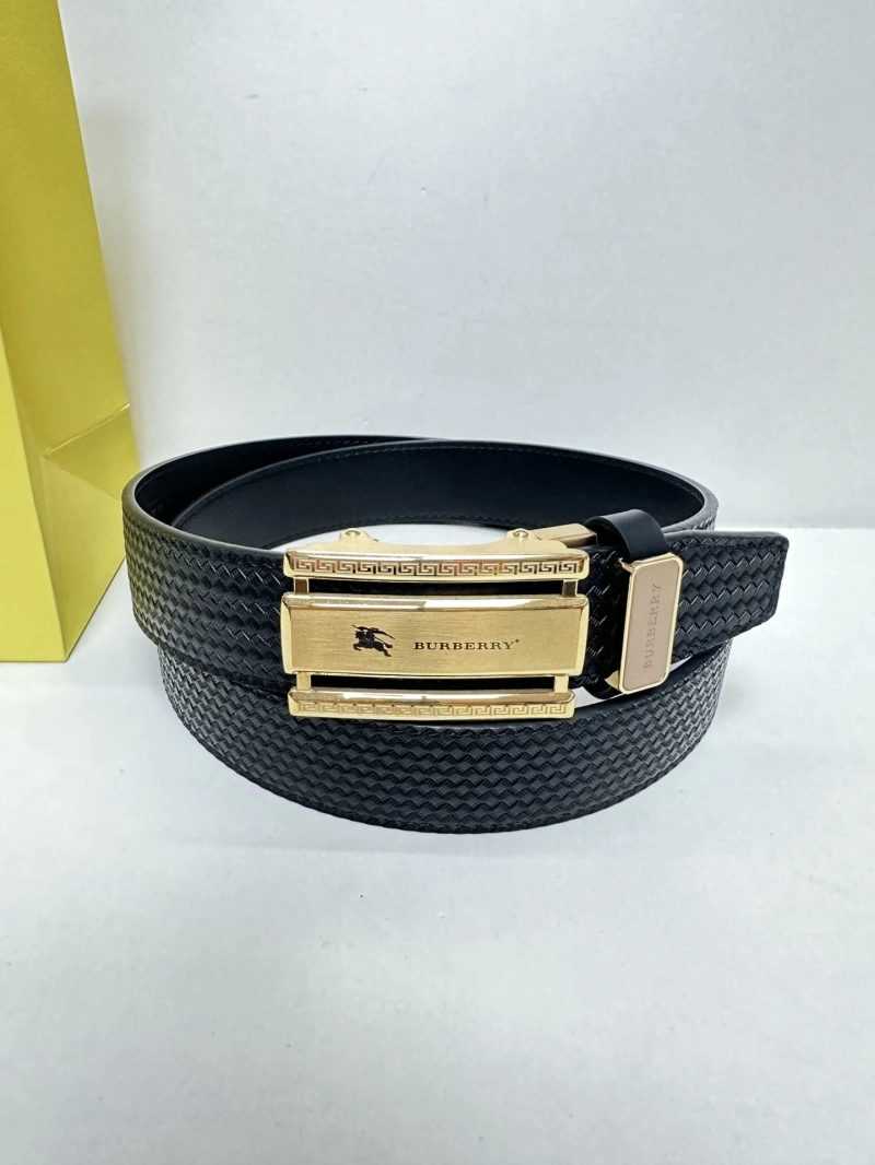 Bxrbxrry Belts Classic 240676
