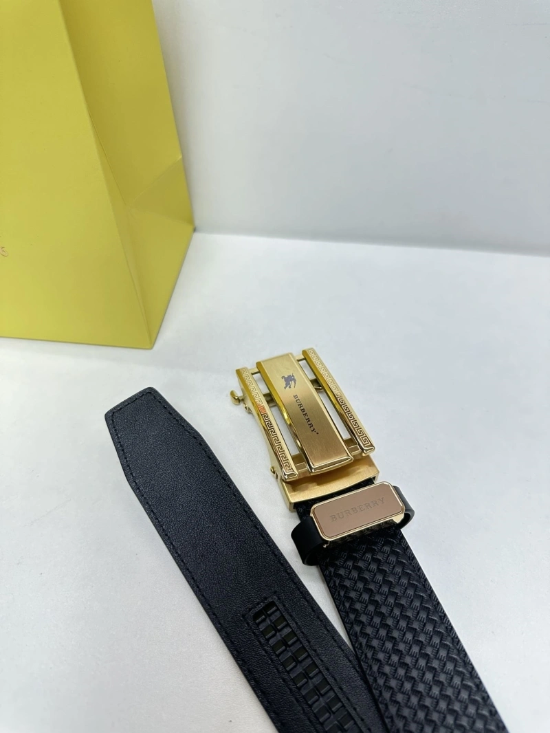 Bxrbxrry Belts Classic 240676