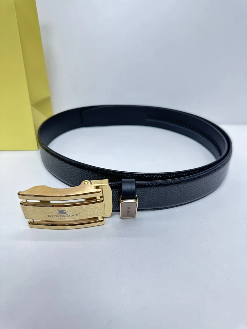 Elegant Bxrbxrry Belts 240669