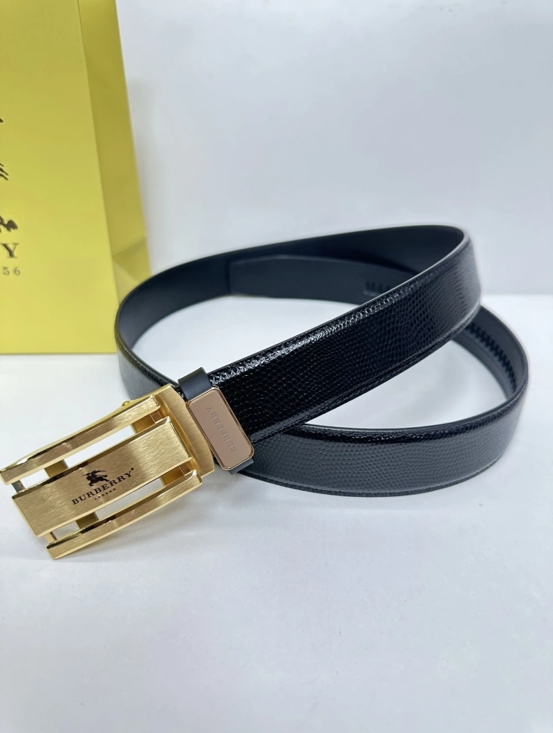 Elegant Bxrbxrry Belts 240669