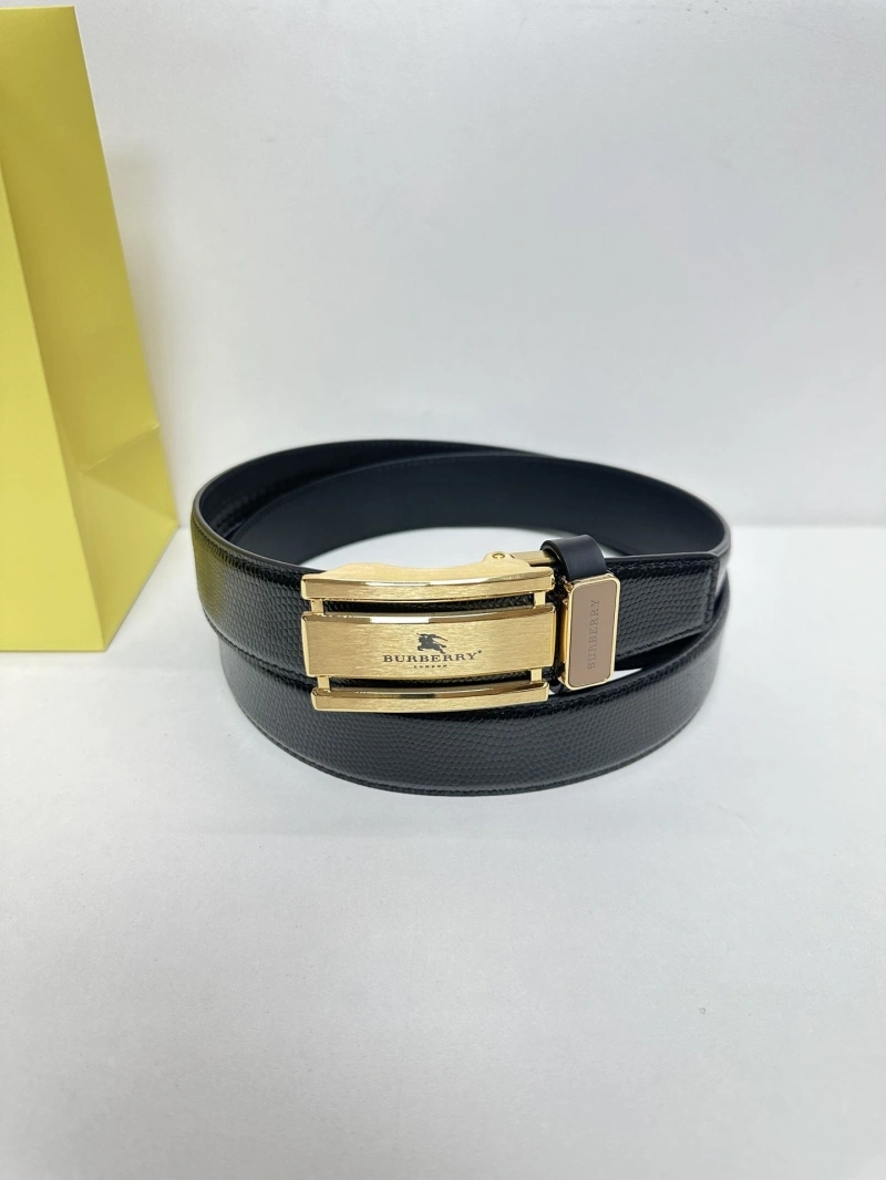 Elegant Bxrbxrry Belts 240669