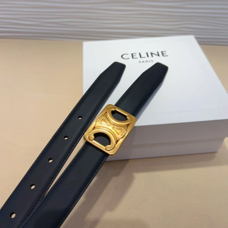 CXLXNE Belts Vibrant 241135