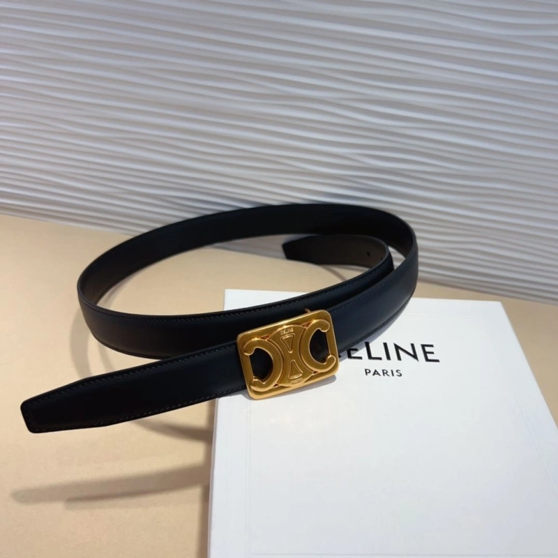 CXLXNE Belts Vibrant 241135