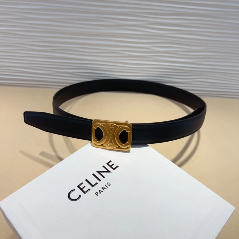 CXLXNE Belts Vibrant 241135