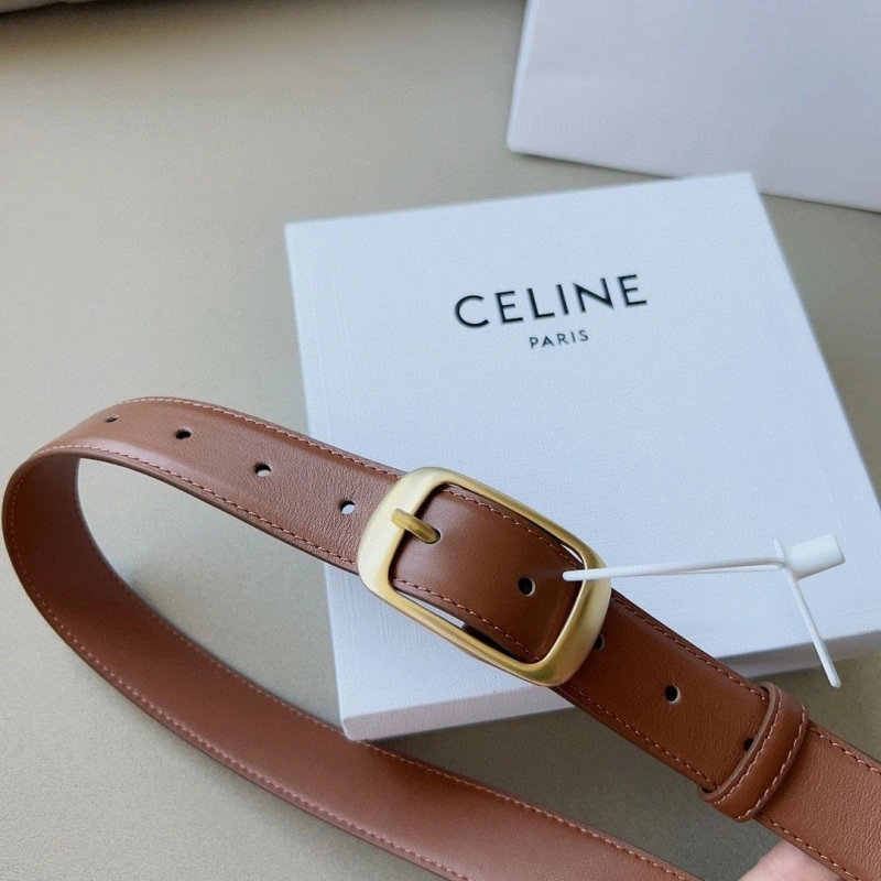 Practical CXLXNE Belts 241117