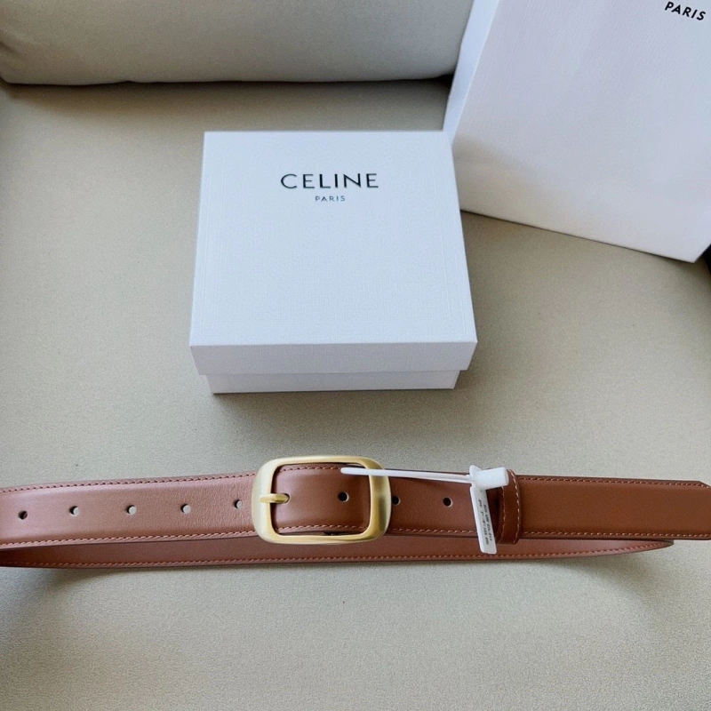 Practical CXLXNE Belts 241117