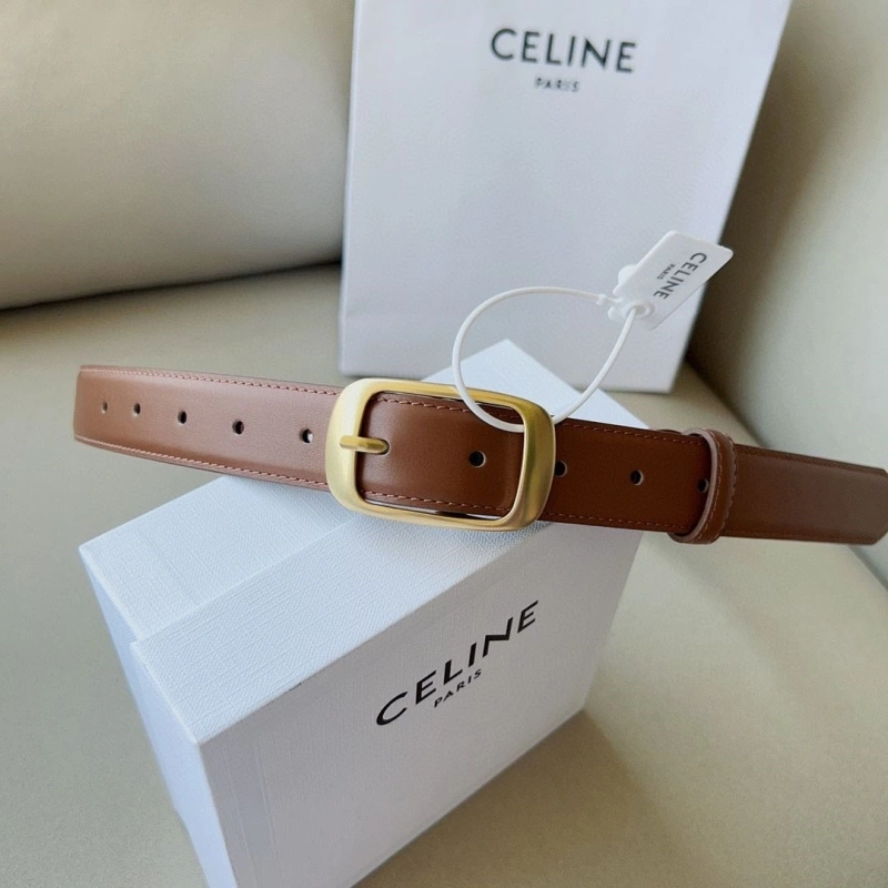 Practical CXLXNE Belts 241117