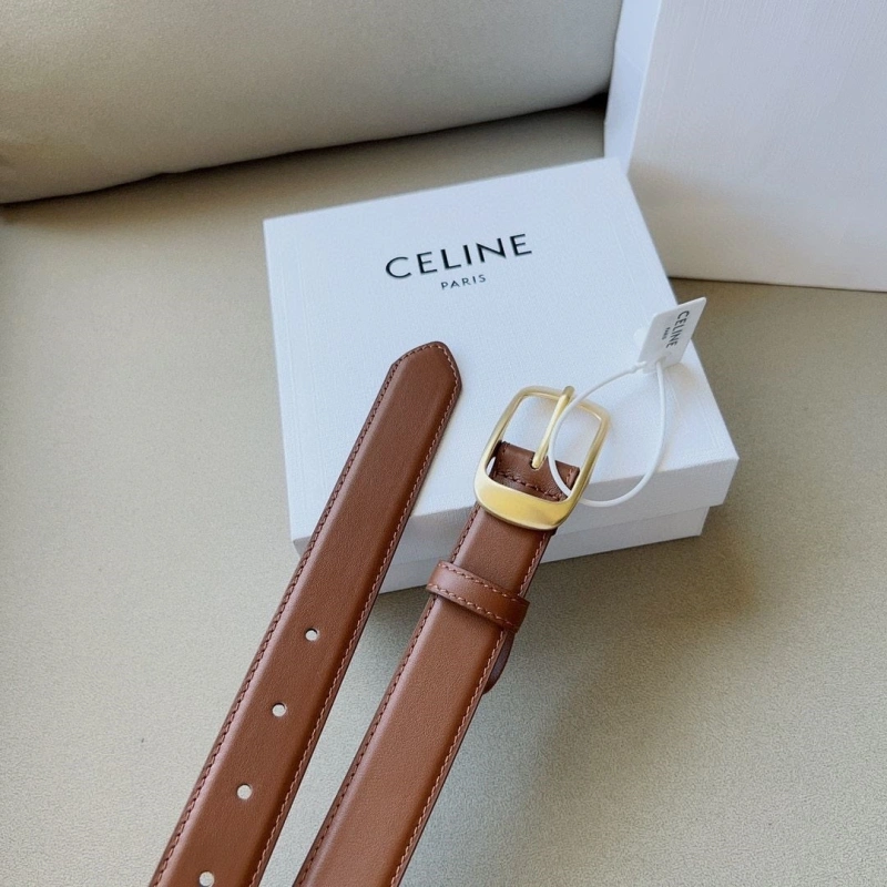 Practical CXLXNE Belts 241117