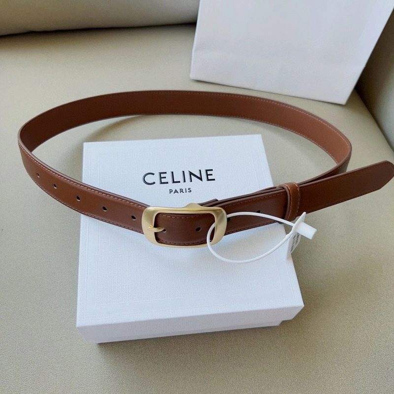 Practical CXLXNE Belts 241117