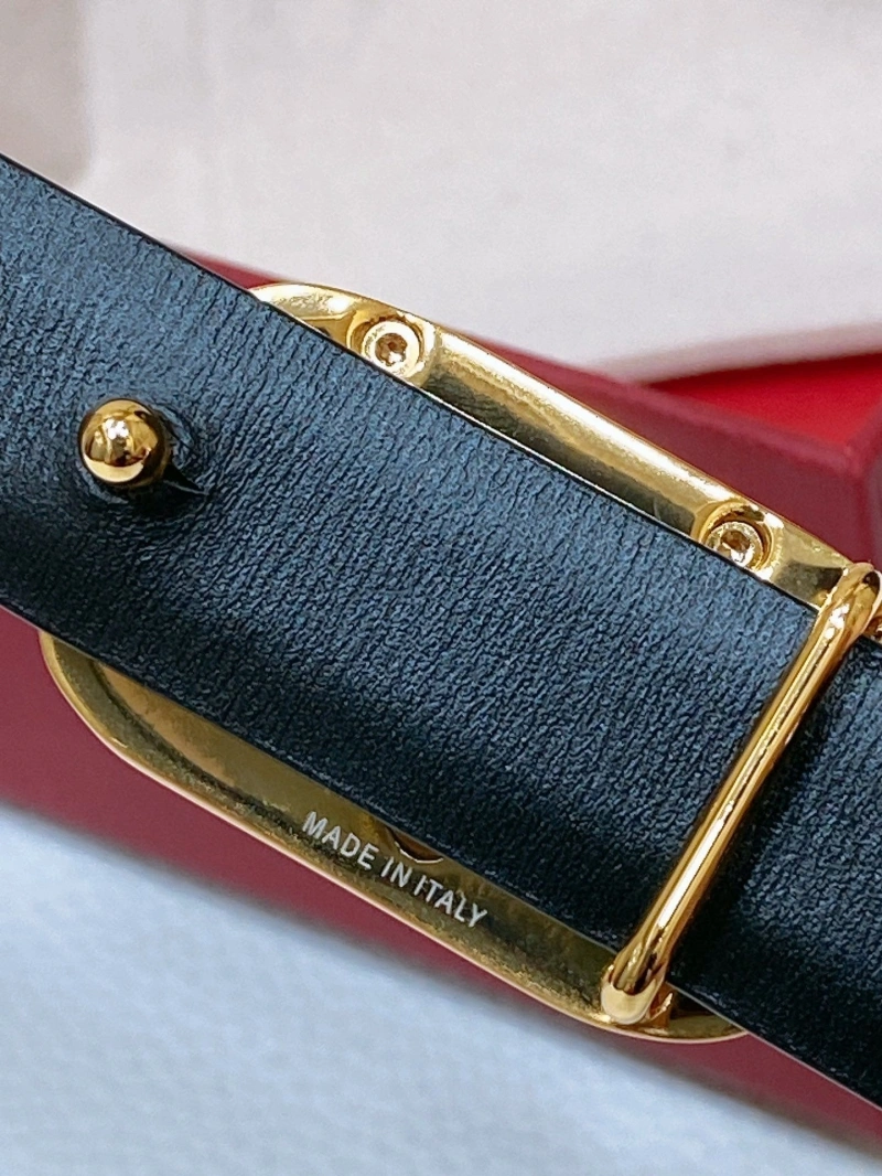 Modern Vxlxntino Belts 248765
