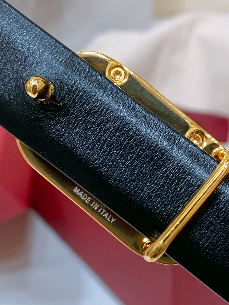 Compact Vxlxntino Belts 248764