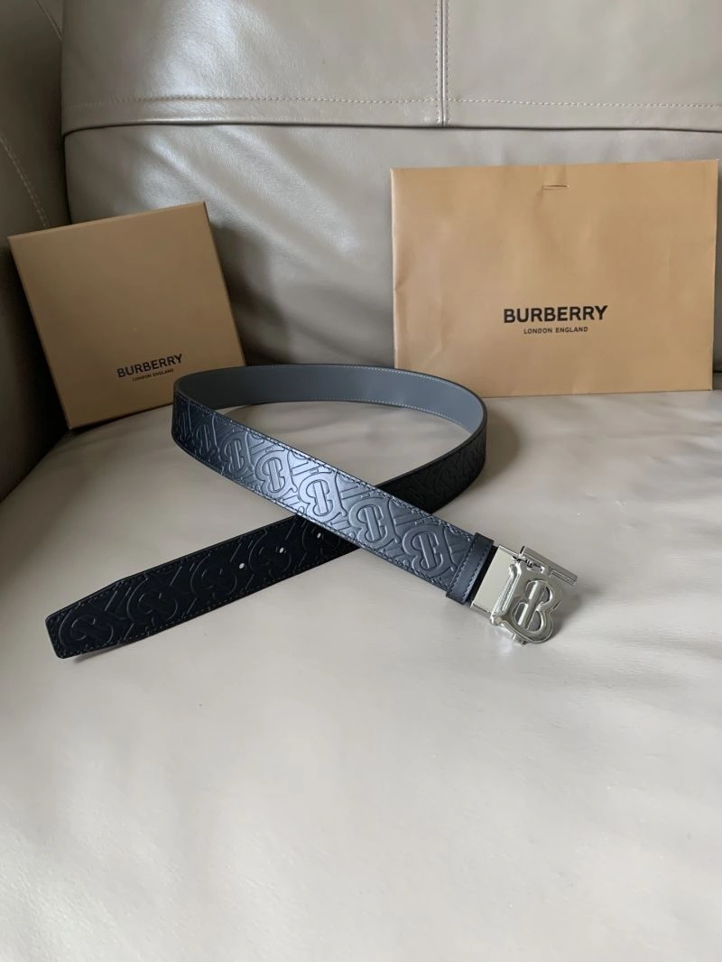 Bxrbxrry Belts DailyWear 240854