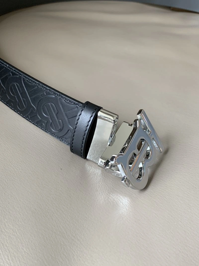 Bxrbxrry Belts DailyWear 240854