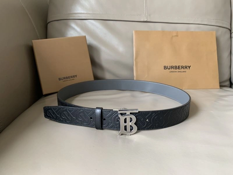 Bxrbxrry Belts DailyWear 240854