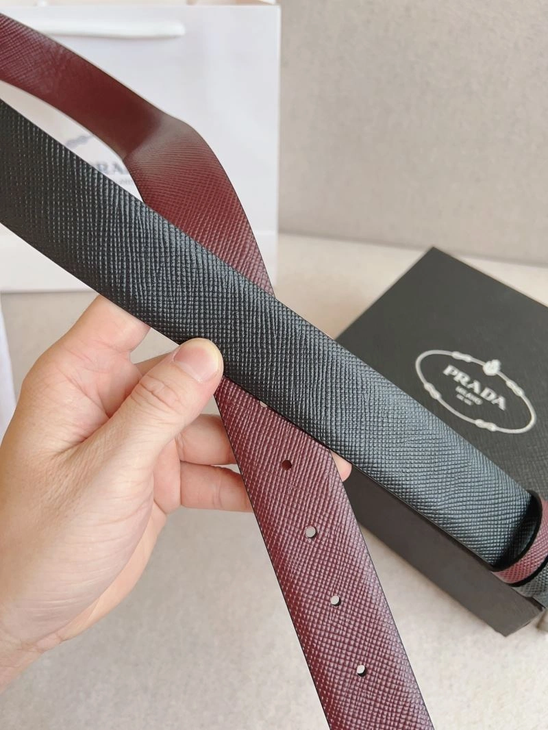 ModernLook Prxdx Belts 248495