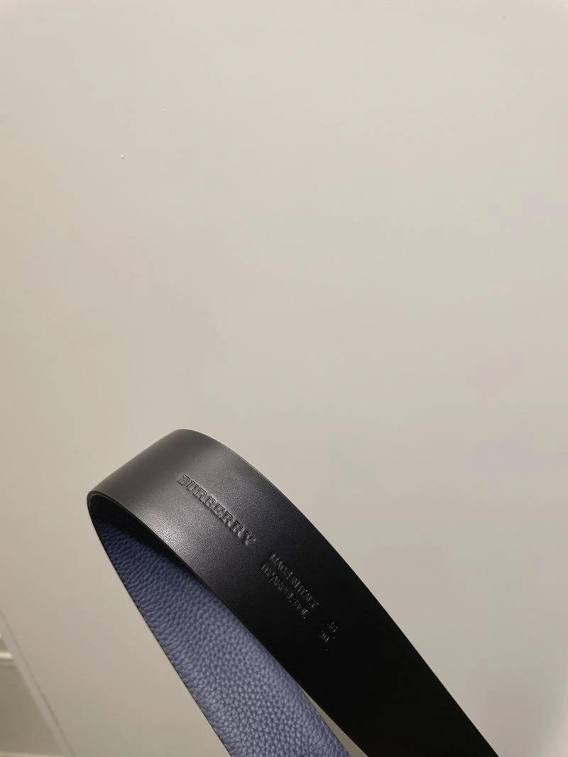 Efficient Bxrbxrry Belts 240829