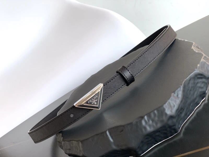 WellDesigned Prxdx Belts 248481