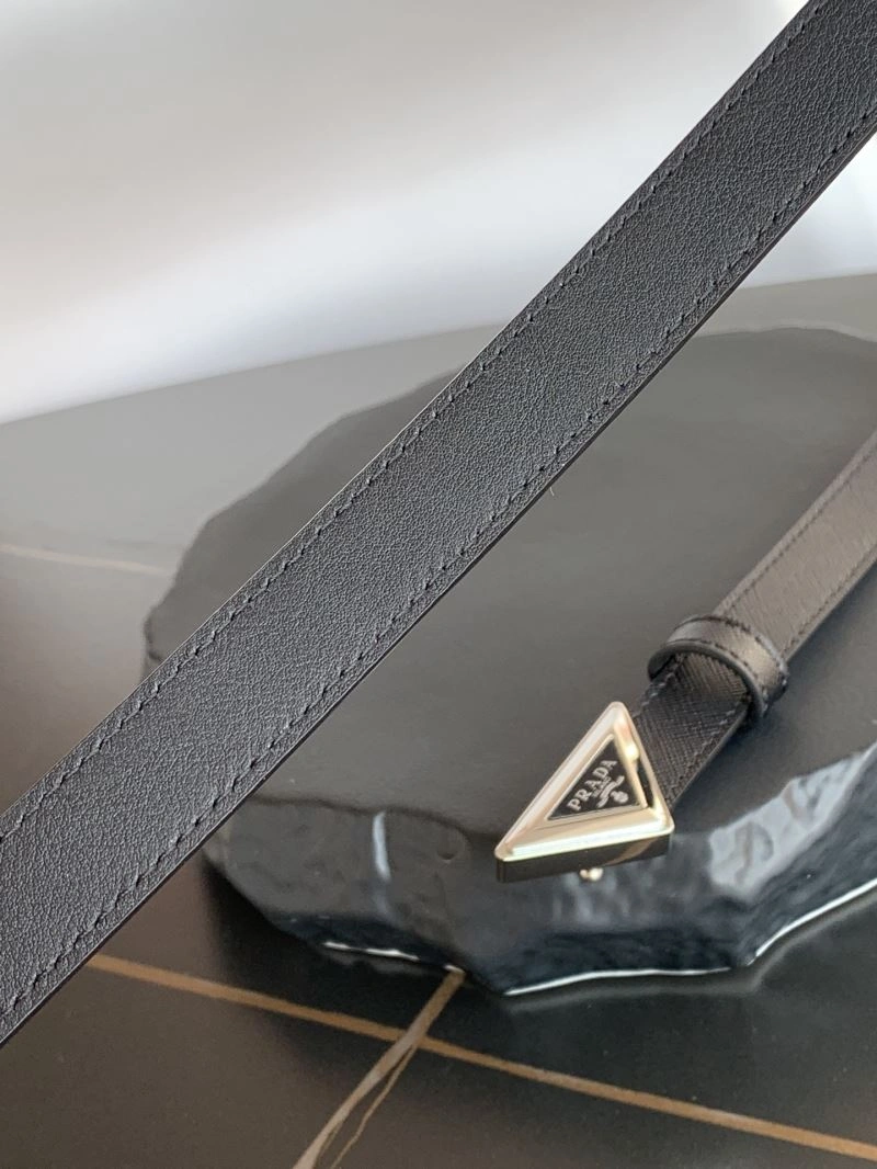 WellDesigned Prxdx Belts 248481