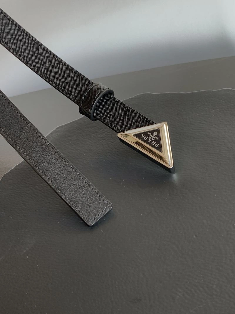 WellDesigned Prxdx Belts 248481